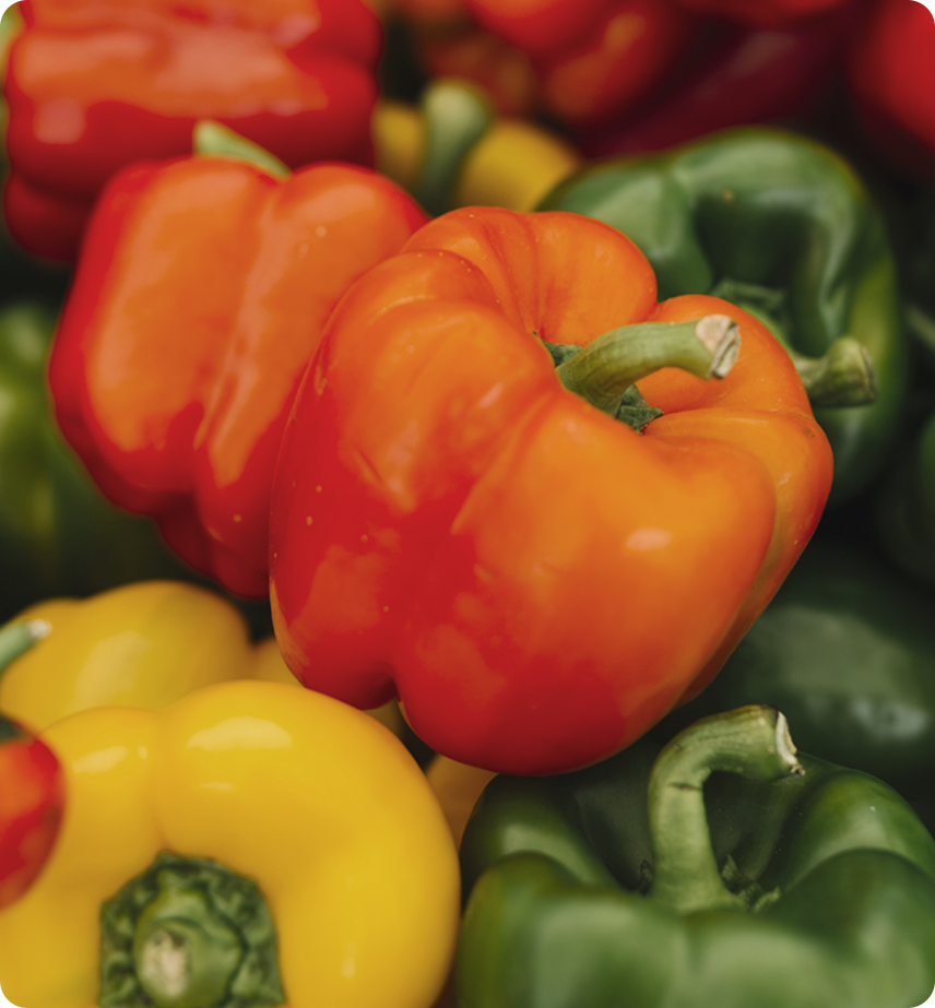 Innovación Agrícola desde 2017